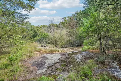 8791 Pleasant Hill Road, Conyers, GA 30058 - Photo 50