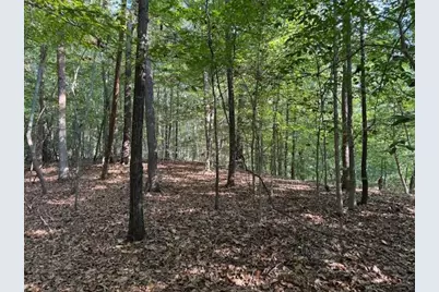 340 Jesse Martin Trail, Canton, GA 30115 - Photo 4