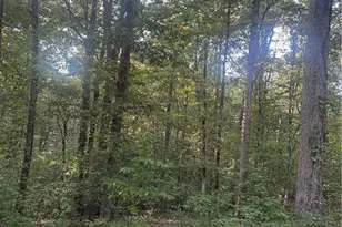 8187 Hwy 53 W, Jasper, GA 30143 - Photo 40