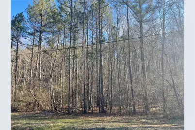 0 Rockfence Road, Adairsville, GA 30103 - Photo 4