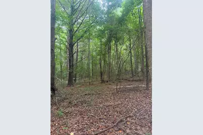 822 Tabby Lane, Athens, GA 30605 - Photo 4