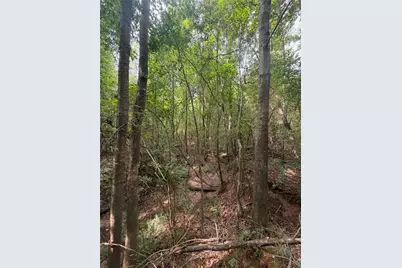822 Tabby Lane, Athens, GA 30605 - Photo 2