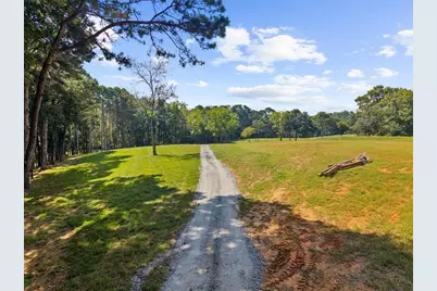 353 Jesse Martin Trail, Canton, GA 30115 - Photo 4