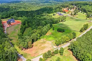 3511 Reavis Mountain Rd, Ball Ground, GA 30107 - Photo 4