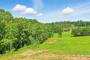 3511 Reavis Mountain Rd, Ball Ground, GA 30107 - Photo 10
