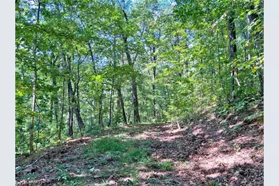 4.8Ac Sign Board Gap Road, Dawsonville, GA 30534 - Photo 12
