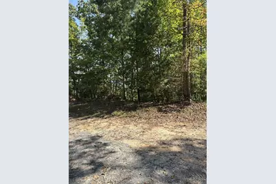 946 Aurora Lane, Ranger, GA 30734 - Photo 6