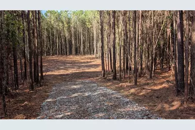 2446 Soap Creek Rd, Ball Ground, GA 30107 - Photo 2