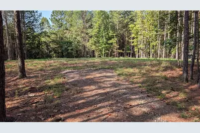 1150 Ballard Rd, Ball Ground, GA 30107 - Photo 4