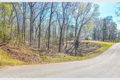 0 Arrow Lane, Lavonia, GA 30553 - Photo 4