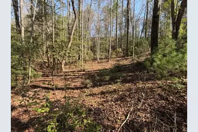 0 Black Falls Road, Dahlonega, GA 30533 - Photo 4