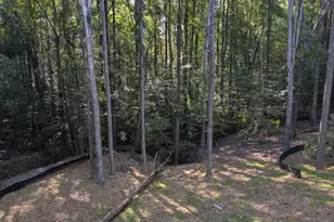 8025 Bethel Rd, Gainesville, GA 30506 - Photo 4