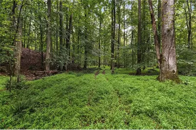 7970 Rico Road, Palmetto, GA 30268 - Photo 8
