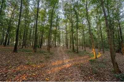 195 Sims Farm Way Way, Maysville, GA 30558 - Photo 88