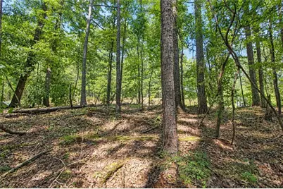 0 Buice Road, Johns Creek, GA 30022 - Photo 6