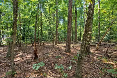 0 Buice Road, Johns Creek, GA 30022 - Photo 2