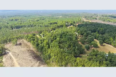 553 Bud Davis Road, Newnan, GA 30263 - Photo 60