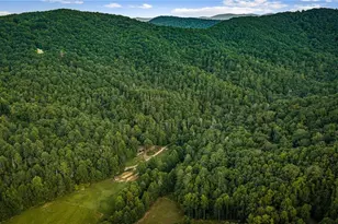 361 Forest Service Rd, Epworth, GA 30541 - Photo 72