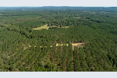 Tracts Livingston Rd SW, Rome, GA 30161 - Photo 2