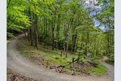 0 Jagger Run, Blue Ridge, GA 30513 - Photo 12