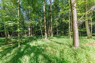 937 Sam Craven Rd, Cleveland, GA 30528 - Photo 26