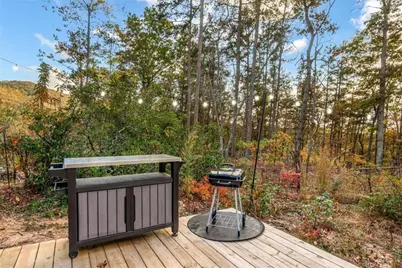 115 Raleigh Ridge Drive, Blue Ridge, GA 30513 - Photo 18