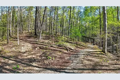 7433 Nicklesville Road, Ranger, GA 30734 - Photo 48