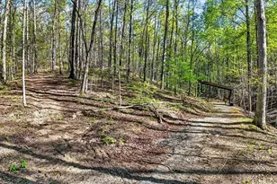 7433 Nicklesville Rd, Ranger, GA 30734 - Photo 48