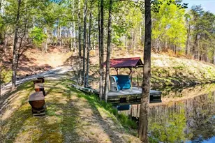 7433 Nicklesville Rd, Ranger, GA 30734 - Photo 42