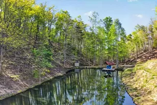 7433 Nicklesville Rd, Ranger, GA 30734 - Photo 44
