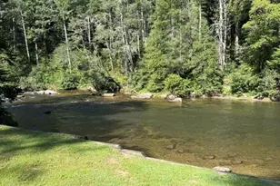 8624 Old Dial Rd, Blue Ridge, GA 30513 - Photo 40