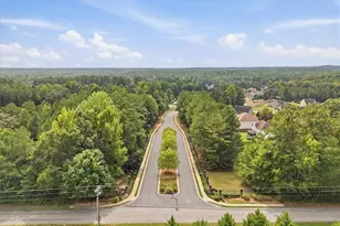145 Madisyn Dr, Hampton, GA 30228 - Photo 64