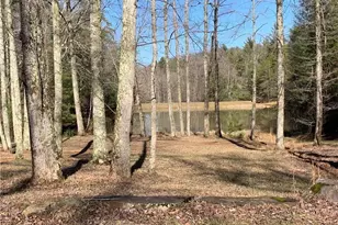 96 Clubhouse Ct, Ellijay, GA 30536 - Photo 36