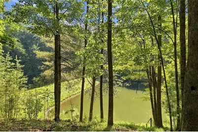 96 Clubhouse Court, Ellijay, GA 30536 - Photo 30
