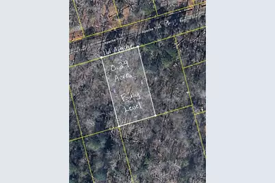 161 Apache Trail, Martin, GA 30557 - Photo 4
