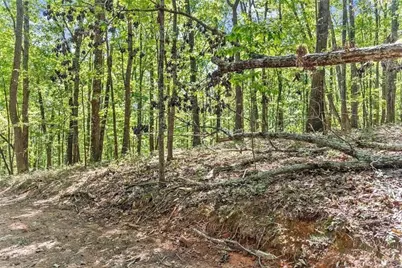 0 Helton Road, Cleveland, GA 30528 - Photo 34