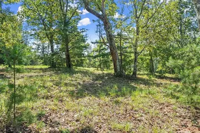 0 Helton Road, Cleveland, GA 30528 - Photo 24
