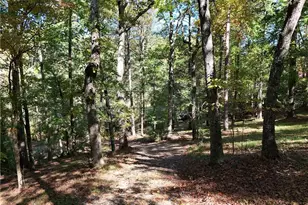 339 Crumby Creek Terrace, Blairsville, GA 30512 - Photo 30