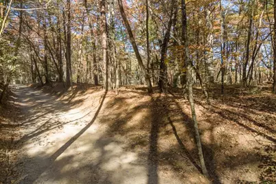 Tr 1 Old Anderson Creek, Ellijay, GA 30536 - Photo 4
