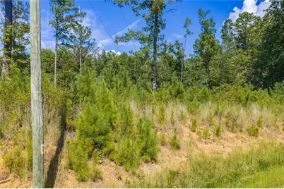 Lot 31 Freestone Street, Talking Rock, GA 30175 - Photo 12