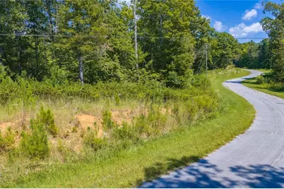 Lot 31 Freestone Street, Talking Rock, GA 30175 - Photo 6