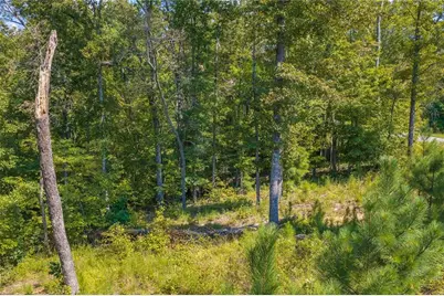 Lot 31 Freestone Street, Talking Rock, GA 30175 - Photo 14