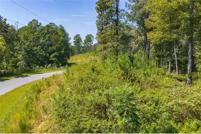 Lot 31 Freestone Street, Talking Rock, GA 30175 - Photo 4