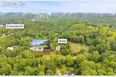 393 N Red Rock Road, Toccoa, GA 30577 - Photo 10