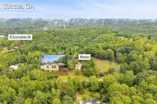393 N Red Rock Rd, Toccoa, GA 30577 - Photo 10