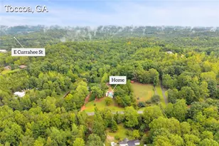 393 N Red Rock Rd, Toccoa, GA 30577 - Photo 28