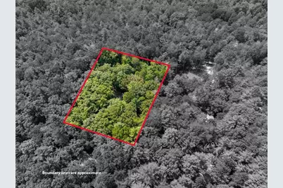 46 Gooseberry Trail, Blue Ridge, GA 30513 - Photo 32