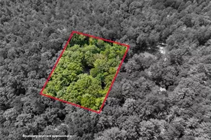 46 Gooseberry Trail, Blue Ridge, GA 30513 - Photo 32