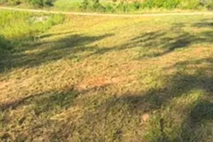 [Address not provided], Commerce, GA 30529 - Photo 6