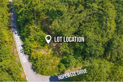 104 Hopewell Drive, Ranger, GA 30734 - Photo 4